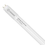 Ledvance LED Buis T8 Value (UN) High Output 8W 900lm - 865 Daglicht | 60cm - Vervangt 18W